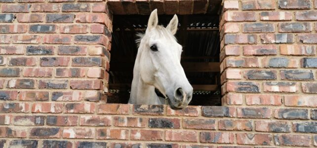 Contact Us Contact Us