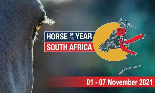 Horse of the Year Horse of the Year
