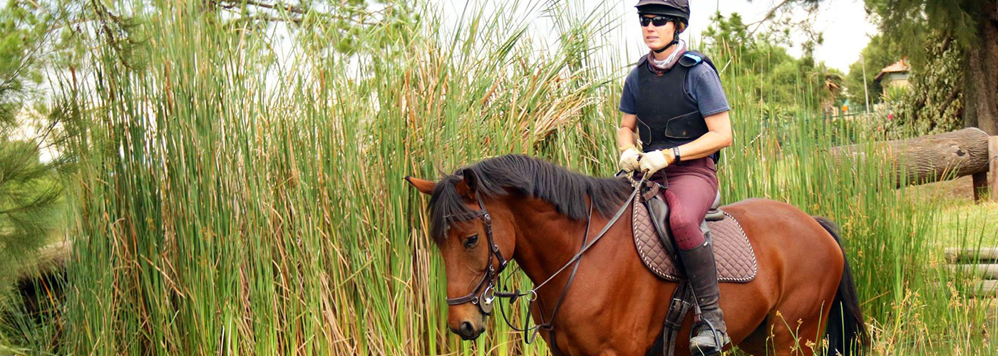 HERE’S WHY YOU’LL LOVE IT: